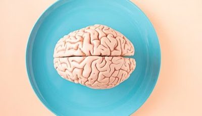 من ذكاء الفرد إلى التفكير الجماعي.. العلم يكشف لماذا تقلص مخ الإنسان بحجم ليمونة