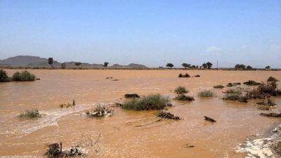 مزارعو قرية الشق بحائل:الجفاف يطاردنا ومشاريع السدود أسيرة الأدراج