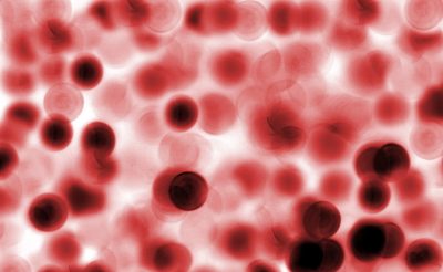 اكتشاف علمي سعودي على سطح خلايا الدم الحمراء