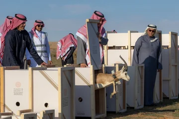 إطلاق عدد من الكائنات الفطرية النادرة في محمية الإمام تركي بن عبدالله الملكية