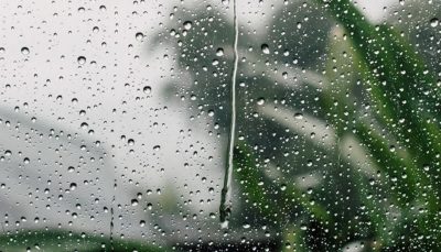 بنحو 106 ملم.. متوسط هطول الأمطار في المملكة يسجل مستوى قياسيًا في 2023م