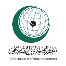 الإمارات تعلن صد هجمات إلكترونية نفذتها “تنظيمات إرهابية سيبرانية”