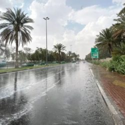 “الأرصاد” ينبه من هطول أمطار غزيرة على منطقة الحدود الشمالية