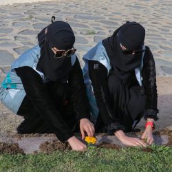 توزيع ١٠٠شتلة بمحافظة صوير ضمن مبادرة “السعودية الخضراء “