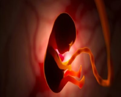 استشارية: 5 حالات لزيادة احتمالات تشوه القناة العصبية للجنين