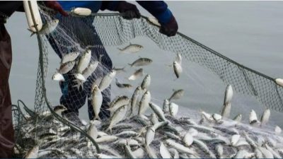“البيئة” تستثني الصيادين ذوي الدخل المحدود من شروط الحصول على رخص ممارسة الصيد