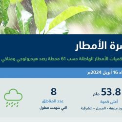 وزارة الصحة توضح خطوات الوقاية من «نوبات الربو» وقت هطول الأمطار