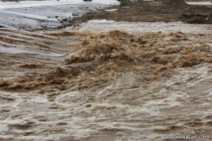 بالصور..هطول أمطار غزيرة على قرى ومراكز محافظة الطائف