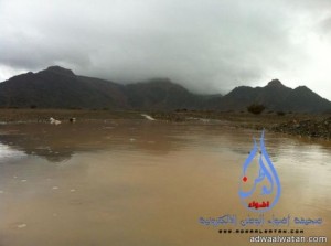 هطول أمطار متوسطة الي غزيره على مركز فضلا بمحافظة العلاء