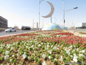 بلدية محافظة طريف تبدا بزراعة اكثر من 90 الف شتلة‎