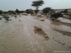 هطول أمطار غزيرة مساء اليوم على الفوارة بالقصيم