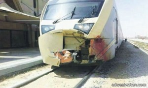ارتطام قطار على متنه “150” راكبا بجمل دون إصابات