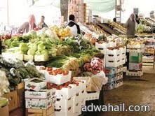 حضر تصدير منتجات الخضراوات المزروعة في ساحات مكشوفة  خارج المملكة
