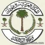 الإمارات تستدعي القائم بأعمال السفارة الإيرانية احتجاجاً على تزويد الميليشيات الحوثية بالأسلحة