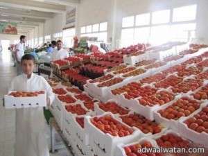 حملة “خلوها تعفن” بالجوف تهبط بأسعار الطماطم إلى (12) ريالاً