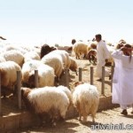 العلي يرأس إجتماع قادة الكشافة بمحافظة المجمعة  للإستعداد لمدينة الحجاج الكشفية